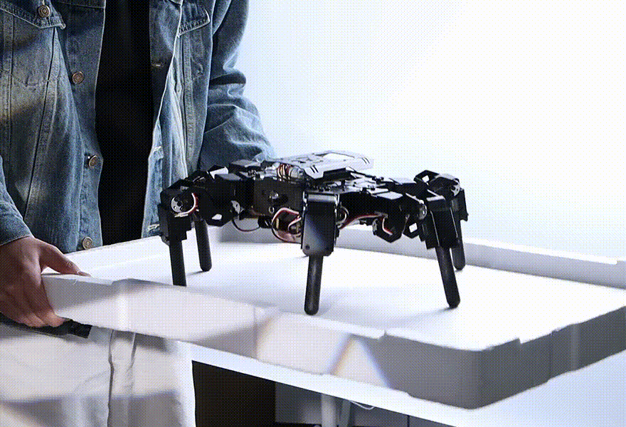 Samobalansująca kontrola postawy