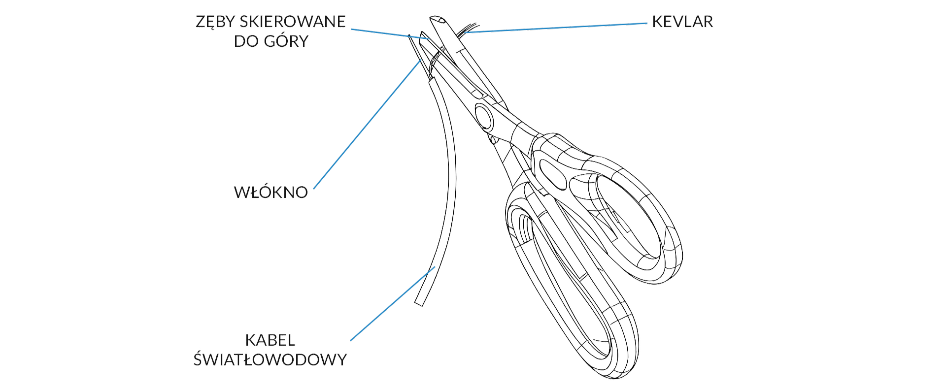 p1204210-8676841d-be42-4581-9cc7-72aa0e13c528.png